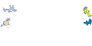North Fork Animal Hospital
